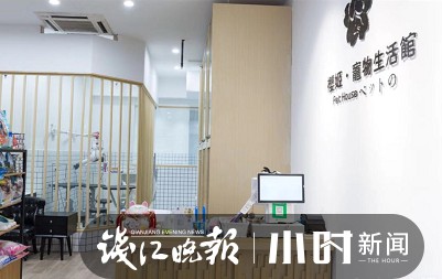 各位铲屎官过年家里的萌宠安排好了吗杭州宠物店宠物寄养多已爆满