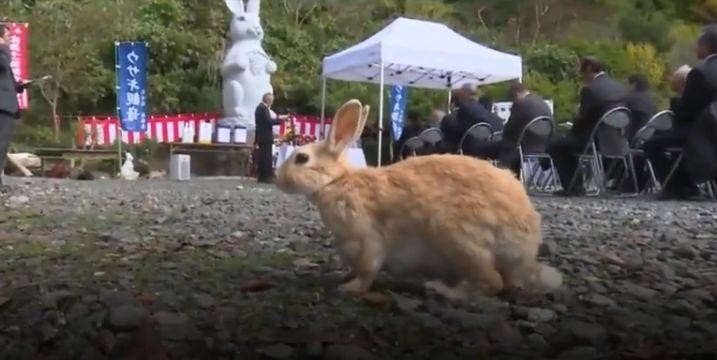 日本佛寺为野兔建观音像半夜亮着红色兔眼路人遇见受惊吓！